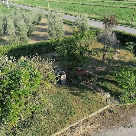 Apartament Il Grazioso Di Angela E Silvia *